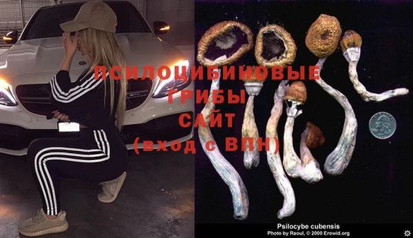 марки nbome Елизово
